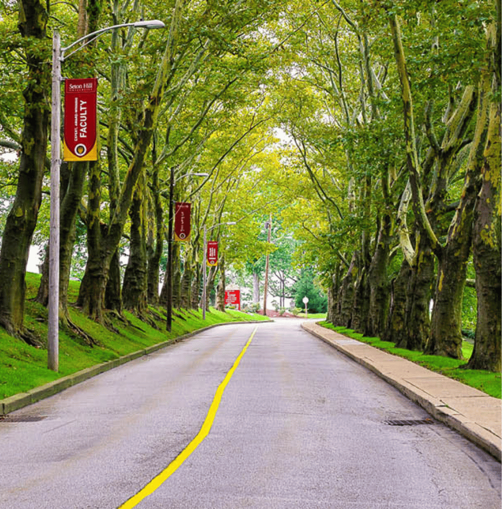 First Person Perspective of the Trees Lining Seton Hill Drive