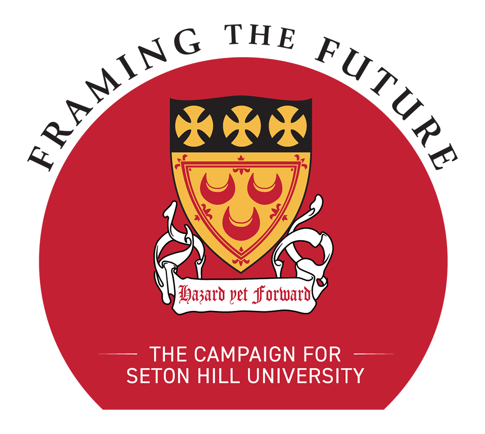 framing the future logo